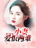 豪门恋事：小妻爱恨两难沈珂