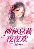 神秘总裁，夜夜欢