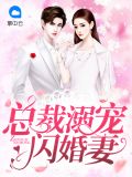 总裁溺宠闪婚妻秦意欢