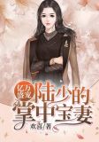 亿万盛宠：陆少的掌中宝妻