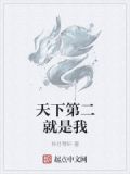 天下第二就是我