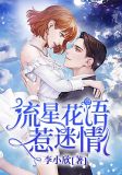 流星花语惹迷情