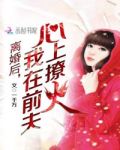 离婚后，我在前夫心上撩火