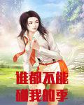 谁都不能碰我的季老师