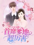 六宝天降：首席爹地超厉害