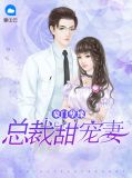 豪门孽缘：总裁甜宠妻陆麟焱