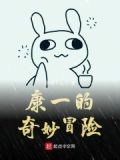 康一的奇妙冒险