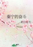 秦宁的奋斗