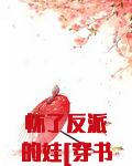 怀了反派的娃[穿书]