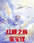 红楼之薛家宝钗