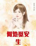 何处觅安生