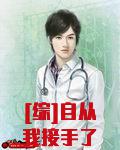 [综]自从我接手了本丸这群祖宗