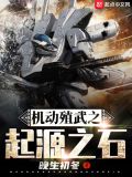 机动殖武之起源之石