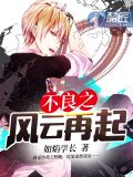 不良之风云再起