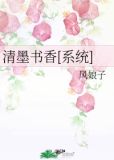 清墨书香[系统]