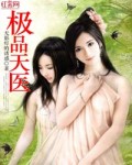 极品天医