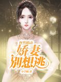 怦然婚动，娇妻别想逃陆景西