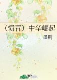 （愤青）中华崛起