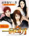 一品奇才