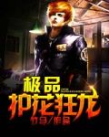 极品护花狂龙
