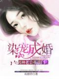染宠成婚：男神老公夜敲门