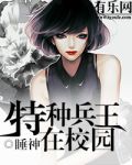 特种兵王在校园