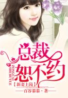 新妻上岗，总裁恕不约