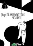 [hp]住蜘蛛尾巷的巫师们