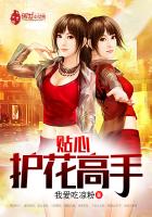 贴心护花高手