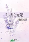 红楼之宠妃
