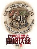 我真没想去霍格沃兹