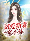 试爱新妻宠不休顾铮铮