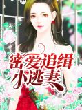 密爱追缉小逃妻席墨尘