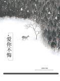 爱你不悔许宁歆