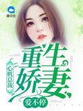 心机总裁：重生娇妻爱不停林宜