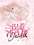 携宝归来：误惹冷总裁