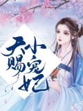天赐小宠妃
