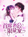 首席老公限量宠顾北城