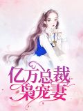亿万总裁枭宠妻宫泽宇