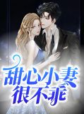 甜心小妻很不乖沈妍