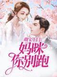 萌宝上门：妈咪你别跑陆承泽
