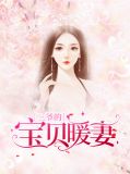 三爷的宝贝暖妻温情