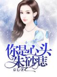 你是心头朱砂痣