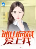 冰山总裁爱上我张寒柳如烟