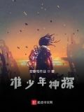 准少年神探