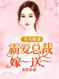 头号娇妻：霸爱总裁嫁一送一