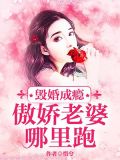 毁婚成瘾：傲娇老婆哪里跑