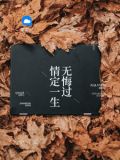 一胎二宝，总裁追妻上瘾