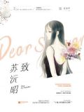 致苏沅昭