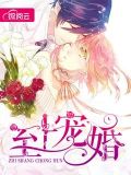 至上宠婚